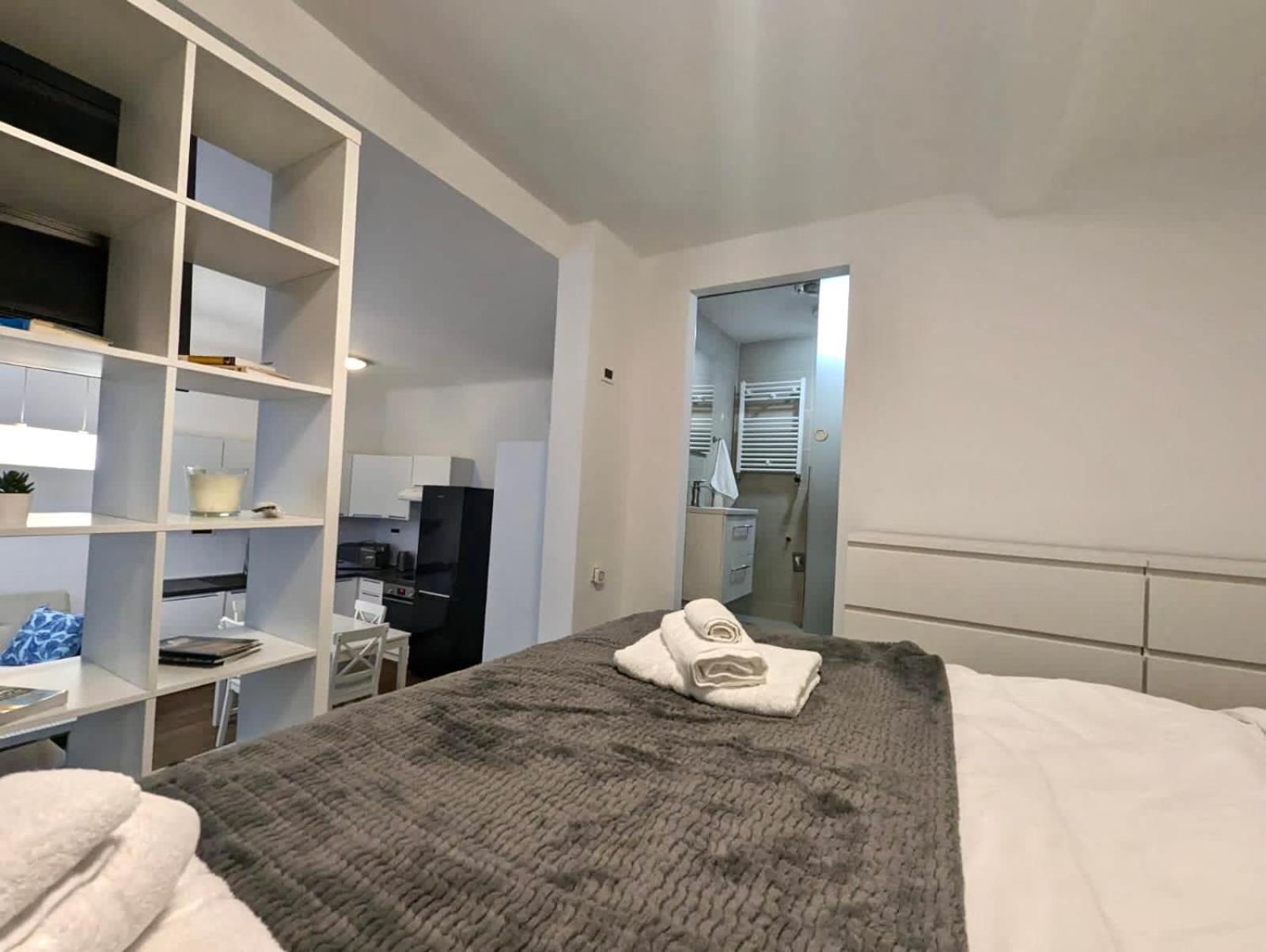 Fantabulous Downtown Abode W King Bed, 65" Tv, Washer And Tumble Dryer ซาเกร็บ ภายนอก รูปภาพ